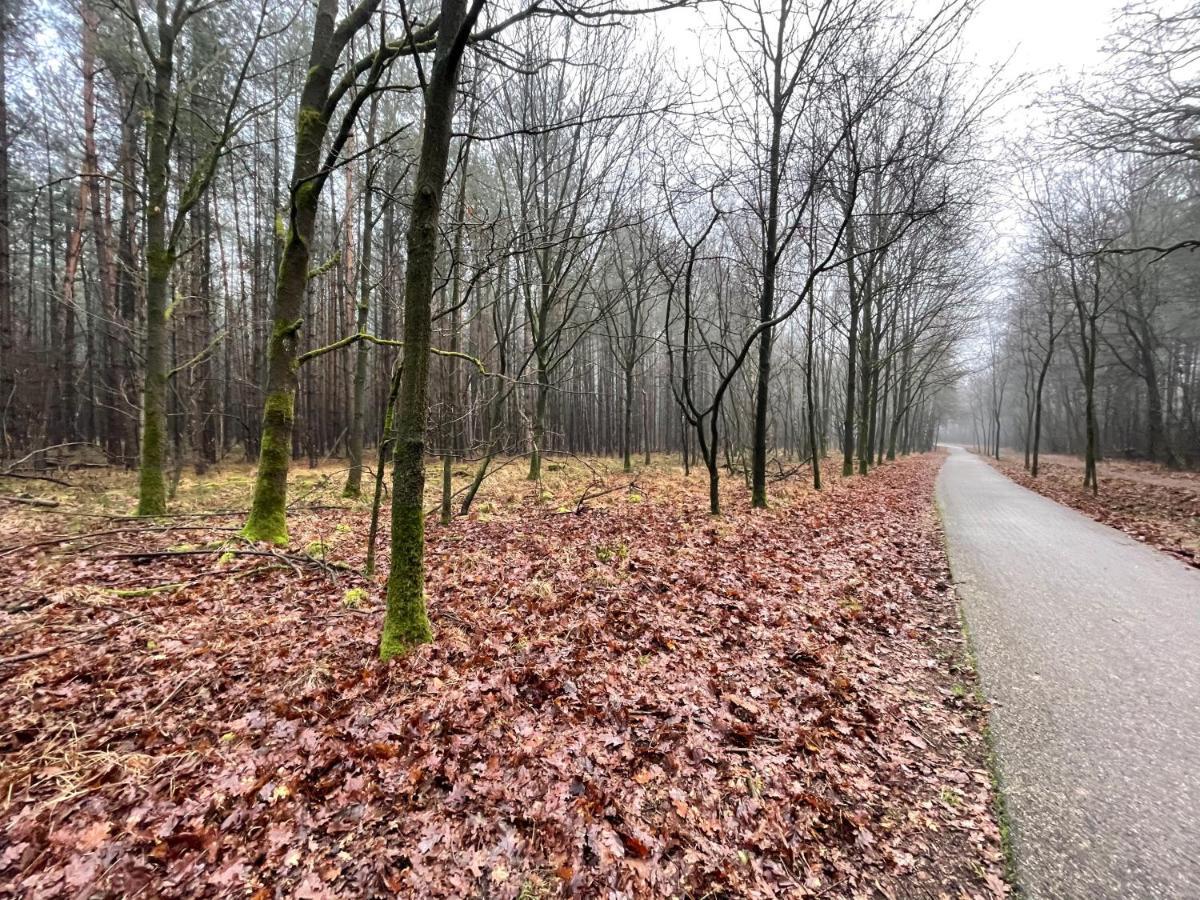 Elle'Belle Oudsbergen I 1-, 2- Or 3-Bedrooms Opglabbeek Exteriör bild